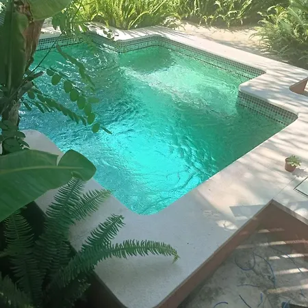 Casa Amazonia, 27 Min From Lisbon, Swimming Pool Lägenhet