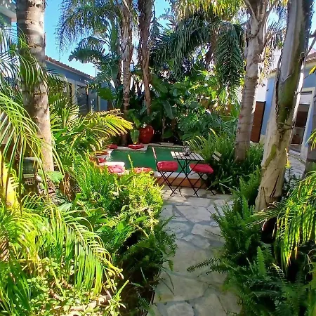 Casa Amazonia, 27 Min From Lisbon, Swimming Pool Appartement Quinta do Anjo