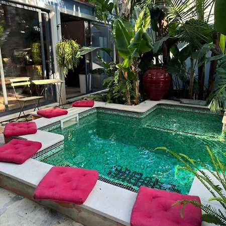 Casa Amazonia, 27 Min From Lisbon, Swimming Pool