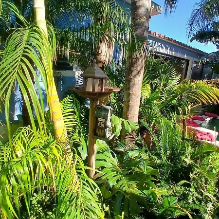 Casa Amazonia, 27 Min From Lisbon, Swimming Pool Quinta do Anjo