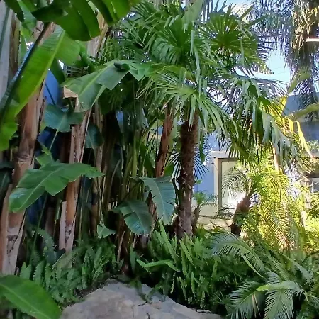 Casa Amazonia, 27 Min From Lisbon, Swimming Pool Lägenhet Quinta do Anjo